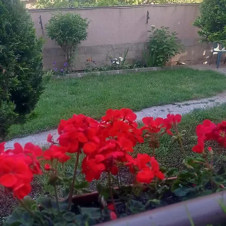 شقة рая سوزوبول